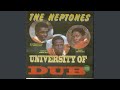 Love Me Always Dub
