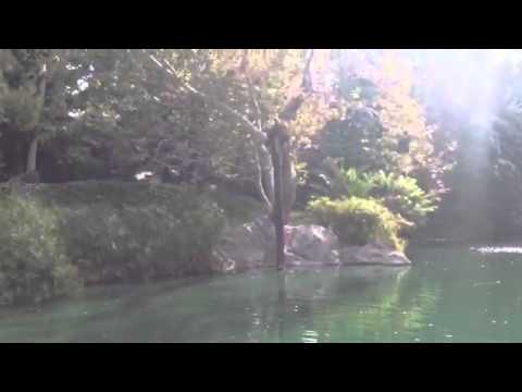 Tour around Tarzan's Lake, raintree circle, LA