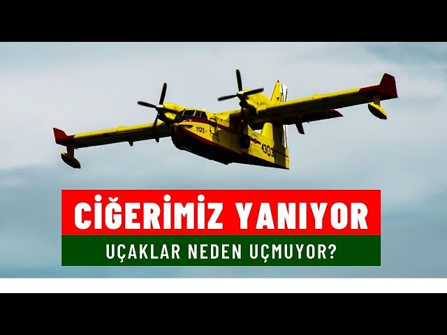 Videouttalande av ormanlar Turkiska