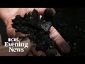 Coal miners lose free black lung screenings after Trump's NIOSH cuts