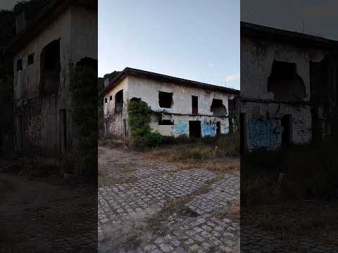 são luís do quitunde 🇧🇷