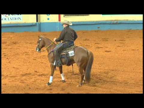 Shiners Hot Flash - 2010 AQHA World Show Finals
