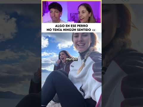 Vieron algo tan extraño en aquel animal que nadie sabía qué estaba mirando