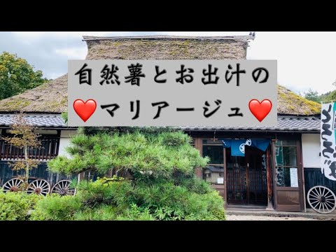 El restaurante de soba más delicioso de Tsuruga [Sobei] Prefectura de Fukui ✨ Tanuki te da la bienvenida ᐢ⓿ᴥ⓿ᐢ