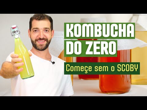 Vídeo: Kombucha do zero: perguntas e respostas