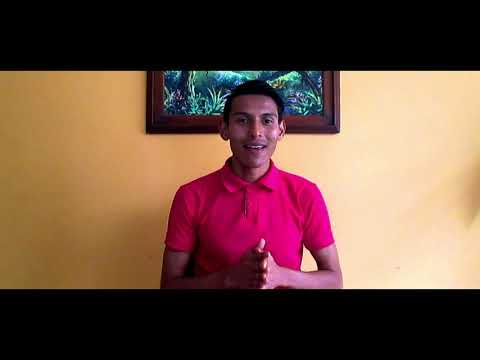 La puce idiomatique  - Daniel Botello