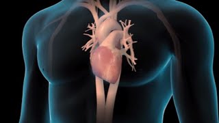 Common Causes of Heart Failure | Nucleus Health