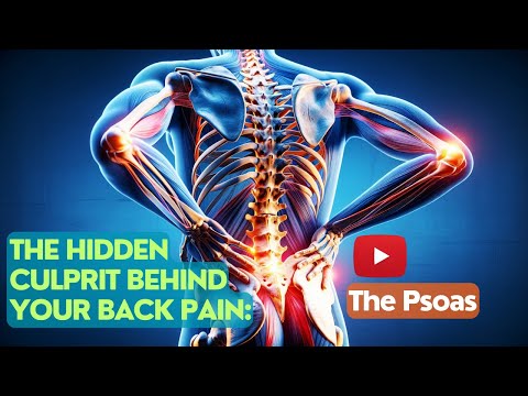 Psoas Muscle for Low Back Pain and Hip Pain