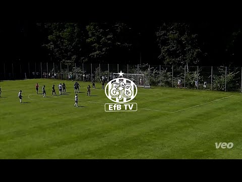 Træningskamp: Esbjerg fB - Aarhus Fremad 1-2