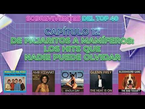 E12 - De pajaritos a mamíferos. Los Hits que nadie puede olvidar