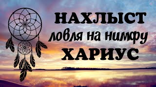 Ловля на нимфа