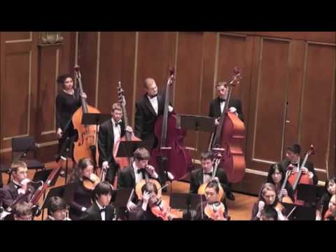 Mozart Symphony No  40-1st movement, Molto allegro