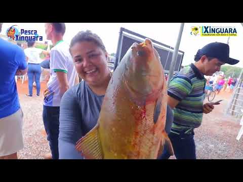Thumbnail do vídeo: Pesca Xinguara 2023