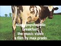 Alans Psychedelic Breakfast: The music video