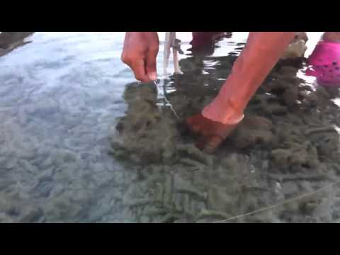 ทะเลภาคใต้