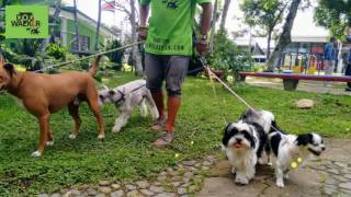 Bruno,Lolo, Luna y Frankie