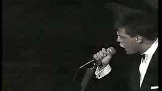 Luis Miguel - Alguien como Tu