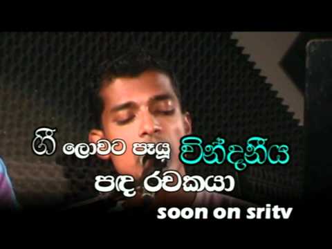 sewilla new trailer 1