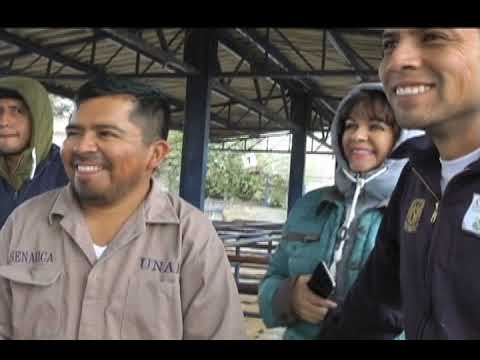 Taller Sujeción Física y Química en Bovinos por ; MVZ Eduardo Posadas M.