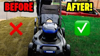 Did our FALL LAWN RENOVATION work? You be the judge!