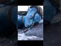 Lo Ak S Close Call With A Sea Monster Avatar The Way Of Water