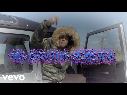 Joël Kurasinski - MR. ERVING SKYLARK [FOREVER] (Official Video)