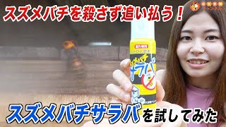 殺さずに追い払う！？【スズメバチサラバを試してみた！】
