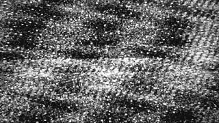 Gazelle Twin - Never Let Me Go