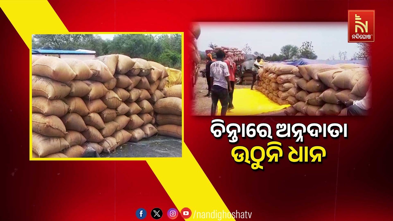 🔴Live | ଚିନ୍ତାରେ ଅନ୍ନଦାତା ଉଠୁନି ଧାନ