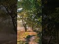 Winter Morning Morning Winter December Nature Waking Farming Assamese Assam Love