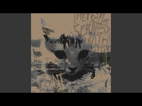 bruxely! Point Of View song