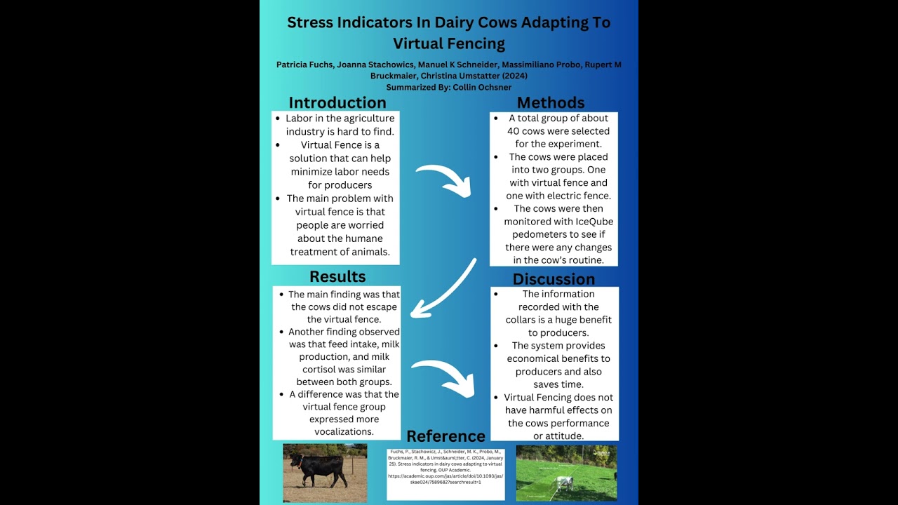 Stress indicators in dairy cows adapting to virtual fencing