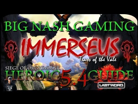 Heroic Immerseus Raid Guide