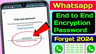 whatsapp end to end encryption password forgot | end to end encryption whatsapp password forgot