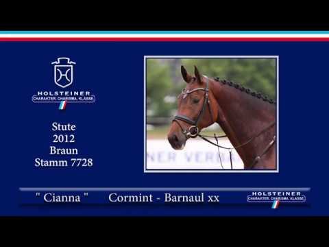 Holsteiner Sommerauktion 2019 | Nr. 07 - Chianna v. Cormint - Barnaul xx