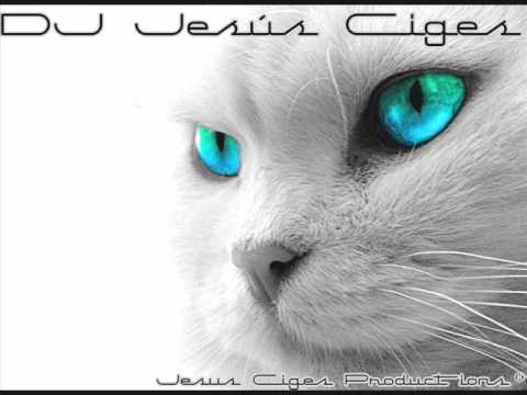 Jesús Ciges - Ay Mama (chayanne JC Productions Remix) .wmv