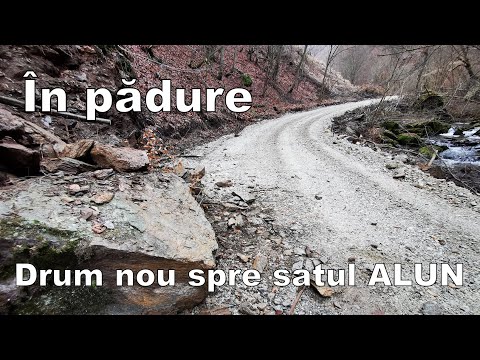 Splendoarea pădurii, pe drumul spre satul Alun, din Govăjdia