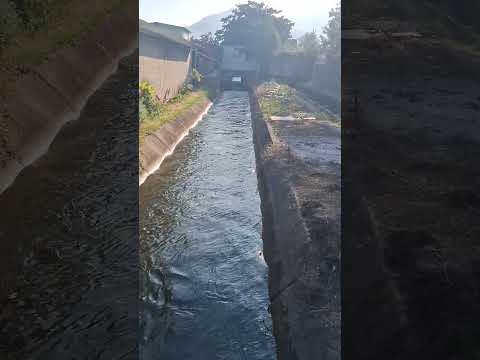 un recorrido por san jeronimo bajaverapaz