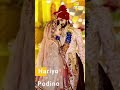 Hariyo Podino