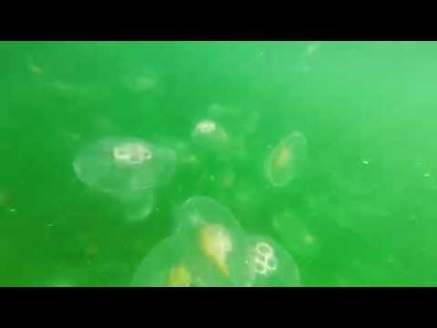 Ude på den bååå dér