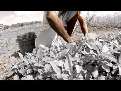 Pascal Cassian Nikumbuke Official Video