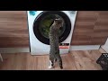 Cat And The Washing Machine