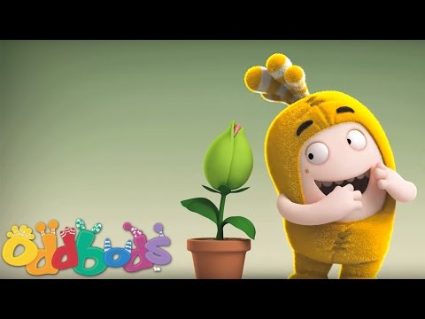 Oddbods | Plant