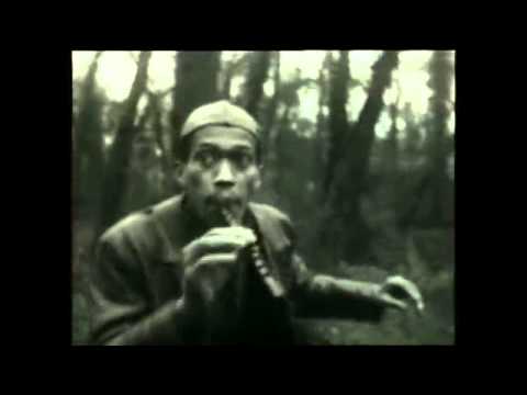 DON CHERRY (1973) dir. Jean-Noël Delamare, Nathalie Perrey, Philippe Gras
