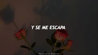 Roxette - No Sé Si Es Amor (It Must Have Been Love) | Letra