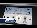 Automatický kávovar DeLonghi PrimaDonna Elite Experience ECAM 650.85.MS