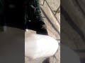 How To Mix Mpesu