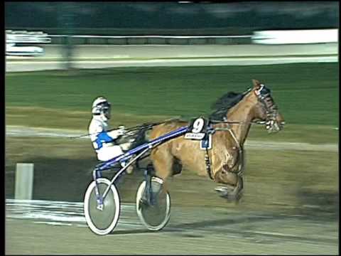 Trotto 13/01/2017 - 5ª corsa