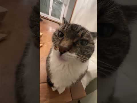 😃😃😃😃😃😃