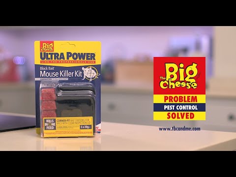 The Big Cheese Ultra Power Block Bait² Mouse Killer Kit - STV565